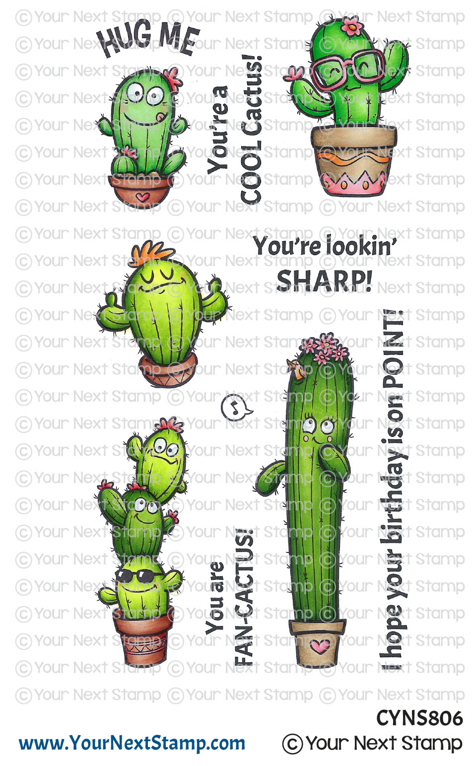 Cactus Rubber Stamps, Set of 5, Mini Stamps, Hand Carved, Succulent Plants,  Cactus Plants, Cacti 
